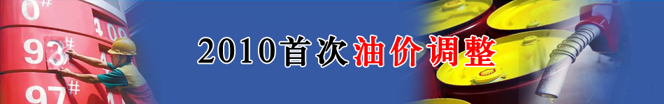 2010�״��̓r�{(di��o)��