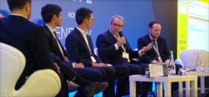 大會(huì)發(fā)言人表示，無(wú)補(bǔ)貼項(xiàng)目要求公司重新打磨與土地和數(shù)據(jù)相關(guān)的戰(zhàn)略。